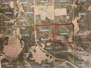 60 Acres Wall Rd, Armstrong Creek Town, WI 54103