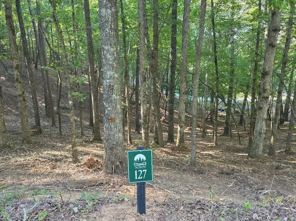 127R Red Oak Trl, Ellijay, GA 30540