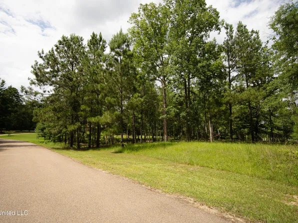 Danielle Cv Lot 12, Brandon, MS 39042