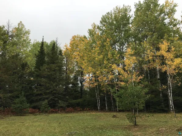 8365 Old Cemetary Rd, Tower, MN 55790