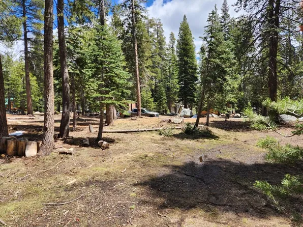 99 Monty Wolf Rd, Bear Valley, CA 95223