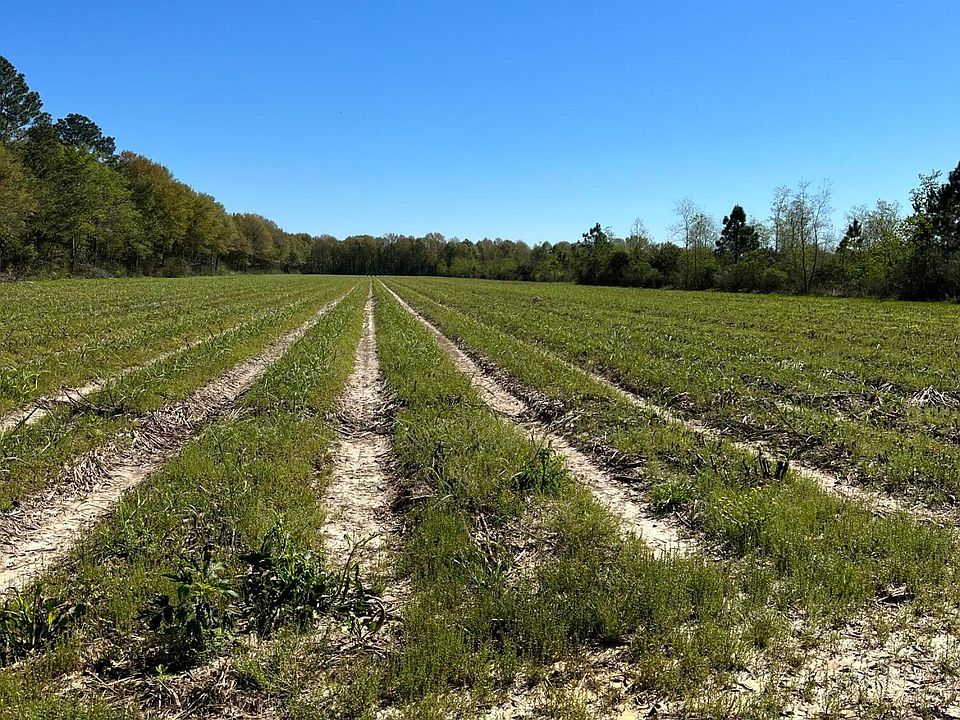 1st image of Mire Hwy