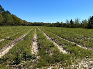 Mire Hwy, Rayne, LA 70578