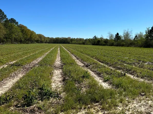 Mire Hwy, Rayne, LA 70578