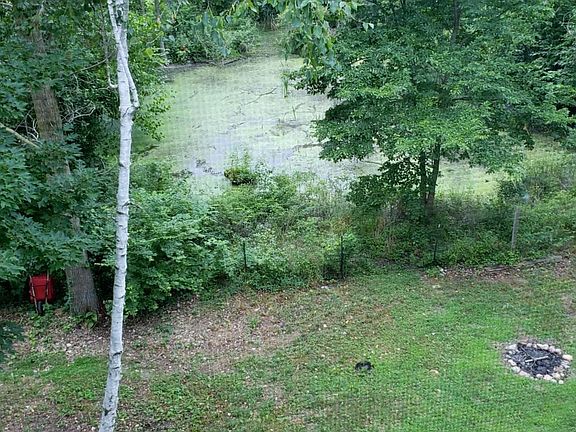 View from LIving Room