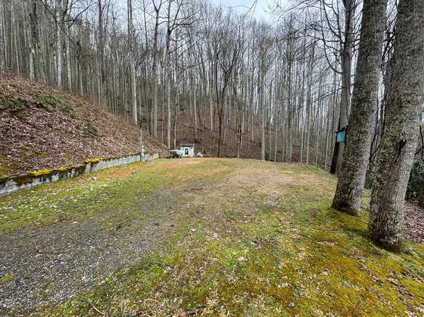 636 Camp Branch Rd, Whittier, NC 28789