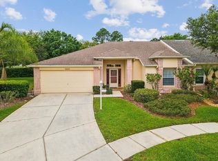 11420 Hidden Cove Ct, New Port Richey, FL 34655