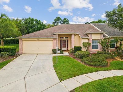 11420 Hidden Cove Ct, New Port Richey, FL, 34655