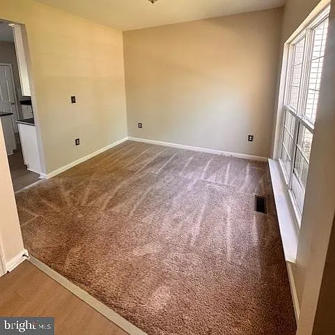 2037 Cotton Tail Dr — Photo 5