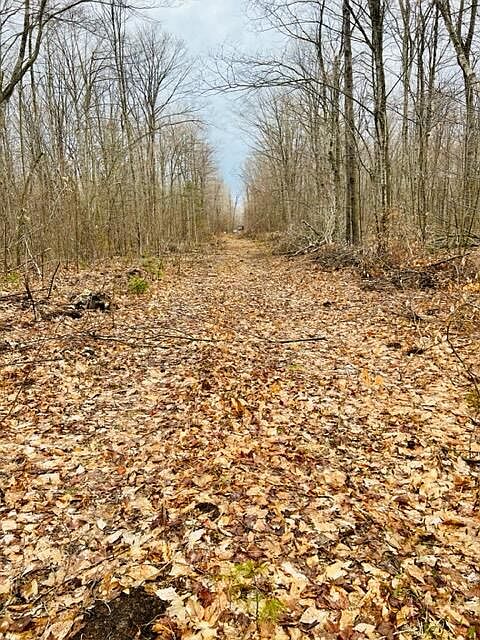 1st image of S Trillium Ln