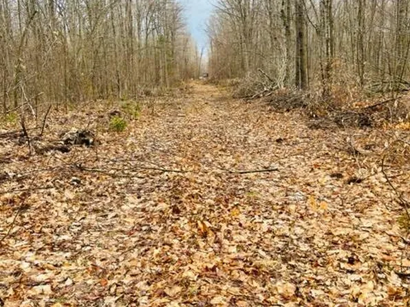 S Trillium Ln, De Tour Village, MI 49725