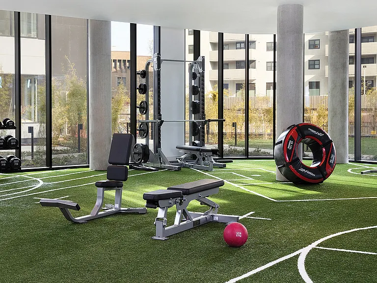 Turf Lined Functional Training Zone