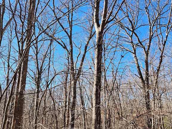 2nd image of 20 Devon Loop #20