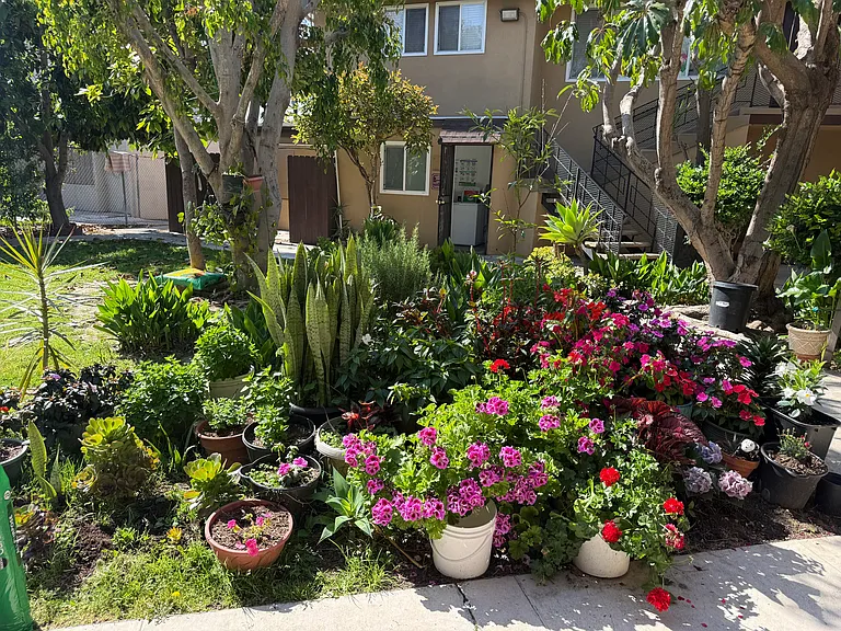 11782 Stuart Dr #5 — Photo 7