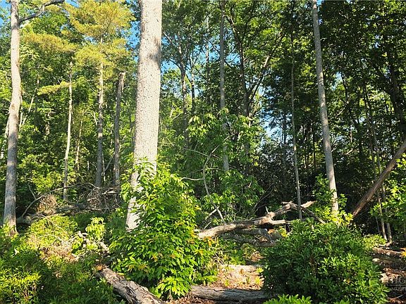 2nd image of Lot 122 Pine Tree Drive