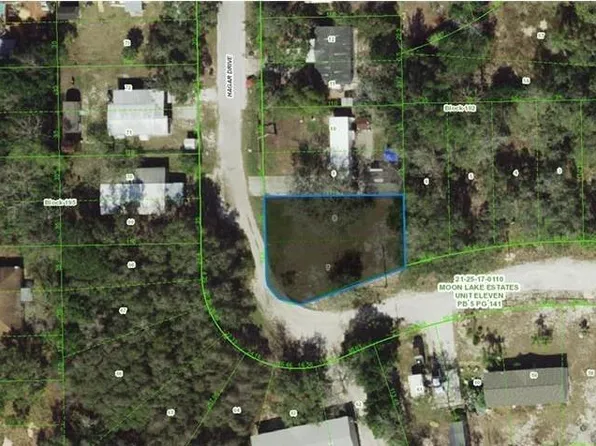 17-25-21-0110-19 Hagar Dr, New Pt Richey, FL 34654