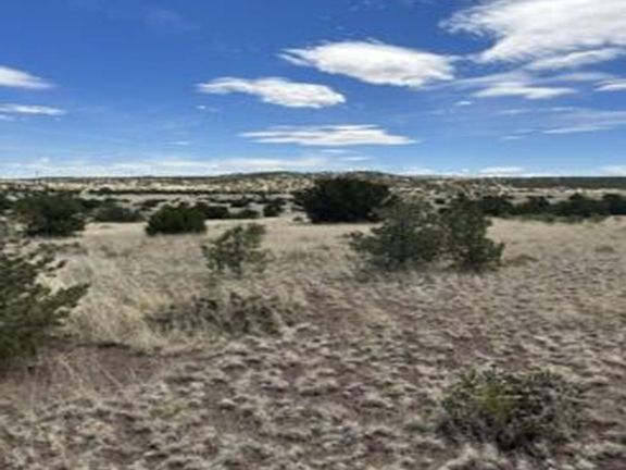 3rd image of Xx Powerline Rd