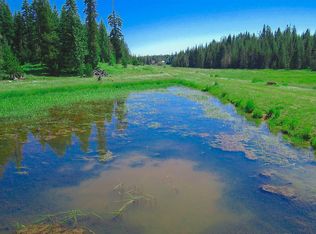 Johnston Mill Rd, Orofino, ID 83544