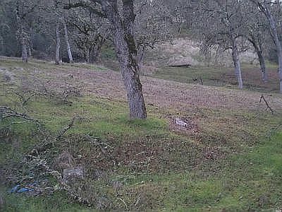 2nd image of 1119 Deputy Dr