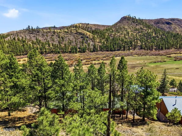 2 Country Rd #1013, Greer, AZ 85927