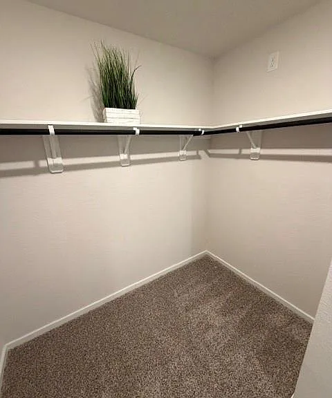 11627 Ruffian Dr — Photo 15
