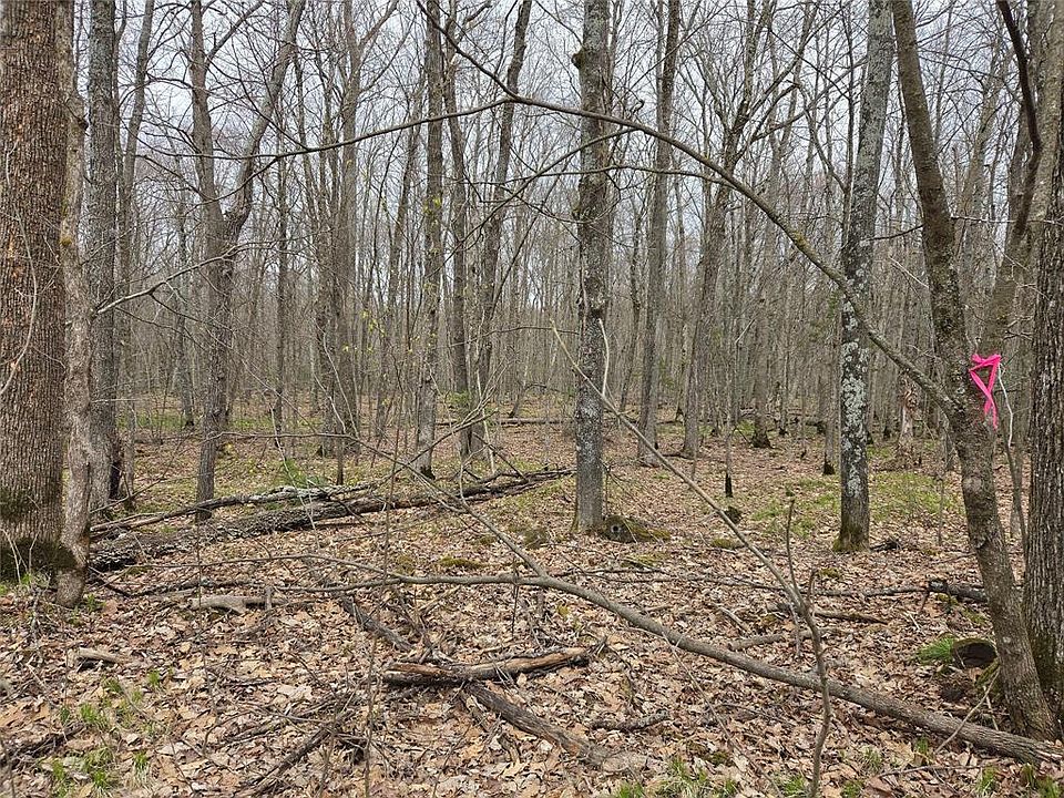 1st image of 12XXX Olson Road