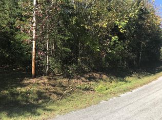 50 Kings Hill Rd, Spring City, TN 37381