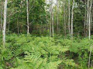 Indian Rd, Alpena, MI 49707