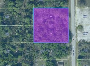 1011 Abbott Ave, Lehigh Acres, FL 33972
