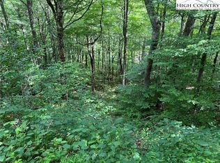 LOT 79 Elk Horn Rd, Banner Elk, NC 28604