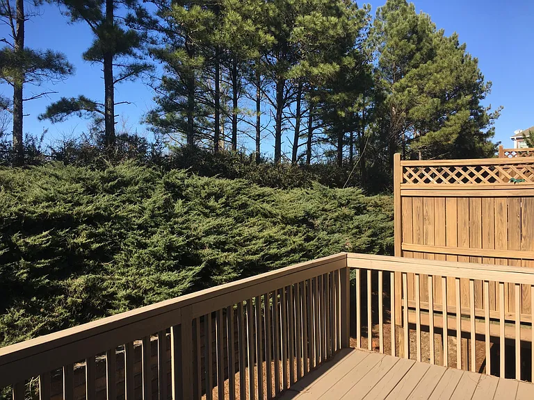 11090 Brunson Dr — Photo 38
