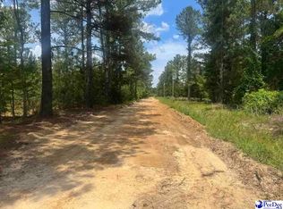 719 1/2 721 Ruth Rd, Coward, SC 29530