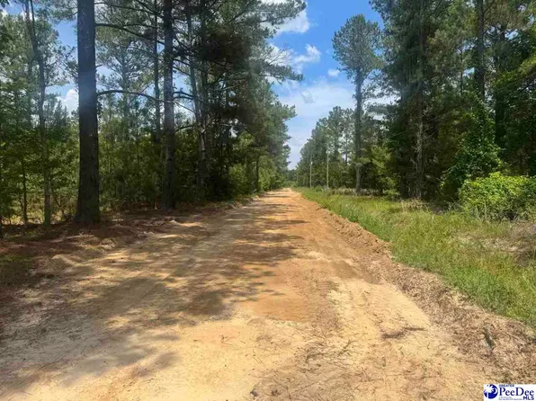 719 1/2 721 Ruth Rd, Coward, SC 29530