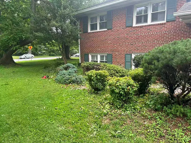 1415 Mayflower Dr — Photo 5
