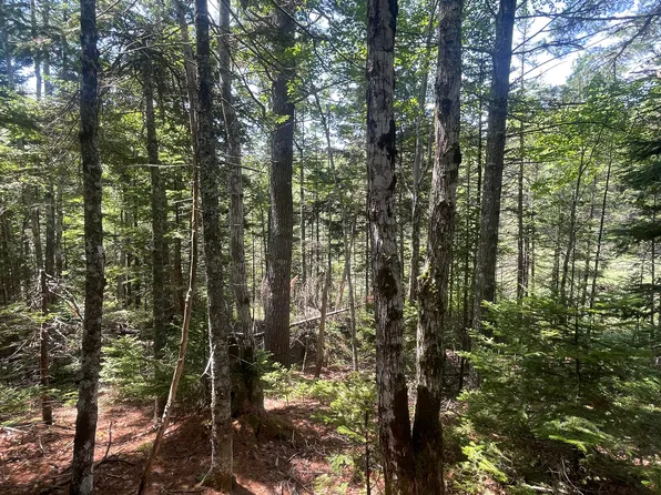 0 Denning Brook Road, Mount Desert, ME 04660