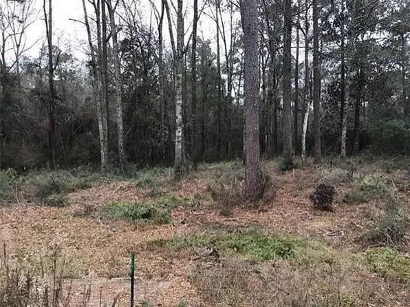 47385 Cardinal Dr, Franklinton, LA 70438