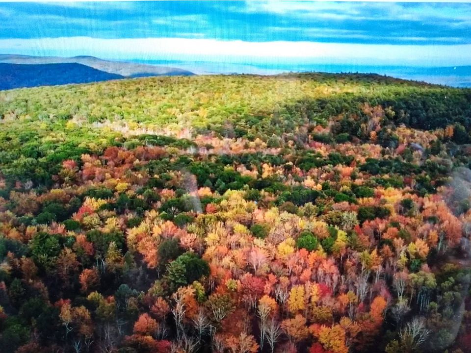 0 Rd, Napanoch, NY 12458 Zillow