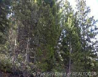 1st image of 305 Matterhorn Dr #M-2-32