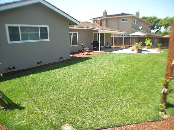 Private  Yard for Entertaining 