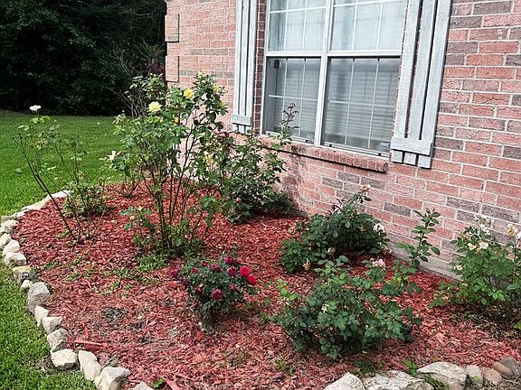5th image of 343 Cedaridge St