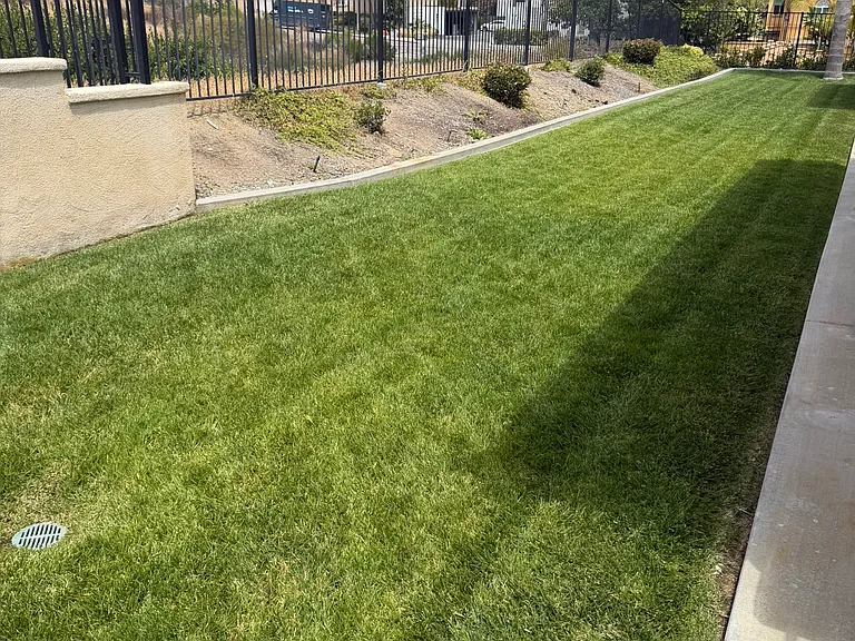 7603 Romeria St — Photo 33