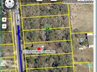 11158 Horned Owl Rd, Weeki Wachee, FL 34614
