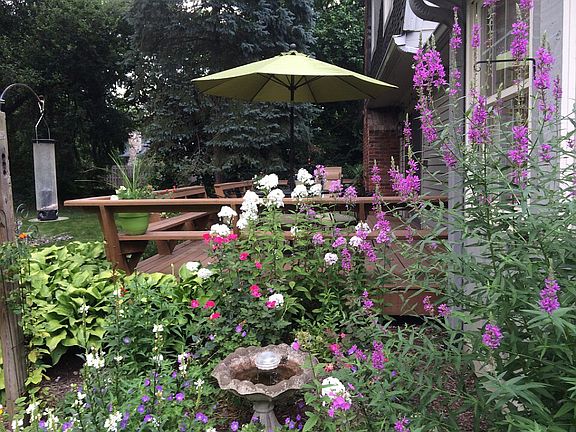 Butterfly and hummingbirds