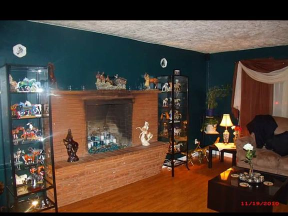 Living room fireplace