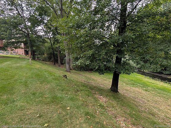 4th image of 8146 Kimble Dr