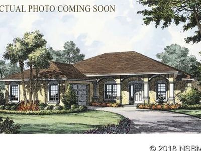3302 Bellino Blvd, New Smyrna Beach, FL, 32168