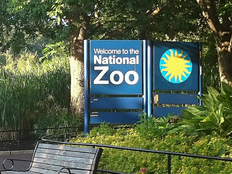 It's a very pleasant 3 block walk to the National Zoo, and even more walking once you are inside enjoying the animals.
