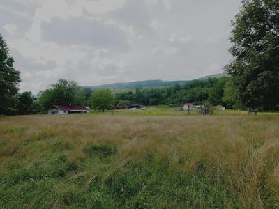 4694 Laurel Fork Rd, Rocky Gap, VA, 24366