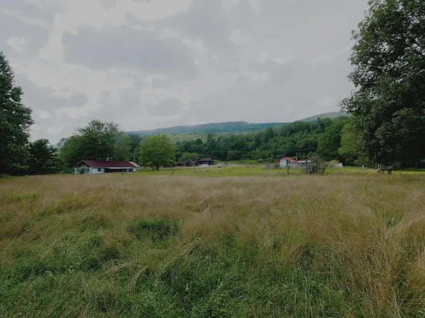 4694 Laurel Fork Rd, Rocky Gap, VA 24366