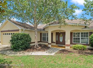 2082 De Carlo Ave, Spring Hill, FL 34608
